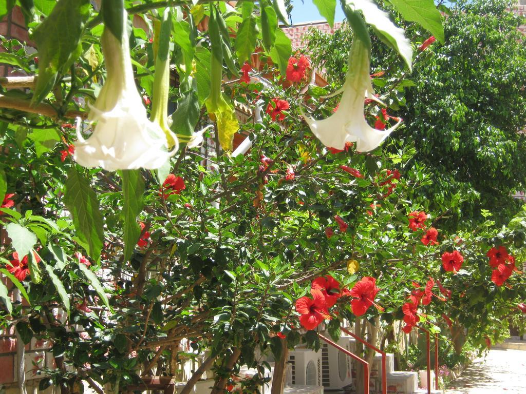 Anfora Apart Pansiyon Erdemli Exterior foto